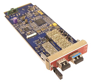 AMC10G-XFP